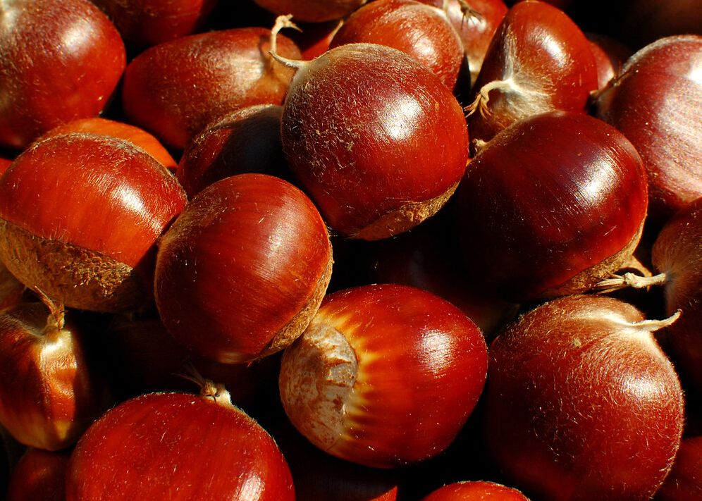 板栗種植銷(xiāo)售-云南能投軍創(chuàng  )產(chǎn)業(yè)投資有限公司