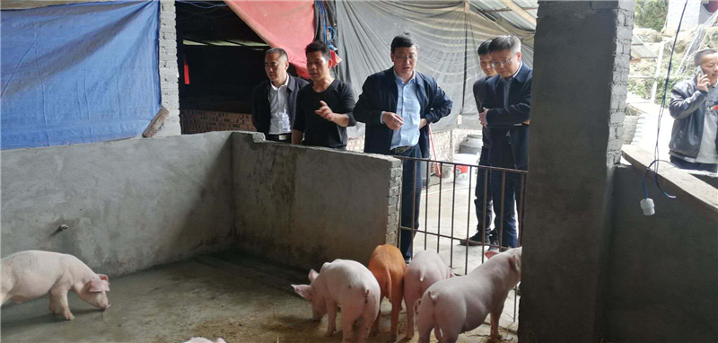 06.jpg 細微之處暖人心 貴州省退役軍人事務(wù)廳31萬(wàn)捐贈物資解幫扶村72戶(hù)未脫貧戶(hù)生活之困-云南能投軍創(chuàng )產(chǎn)業(yè)投資有限公司