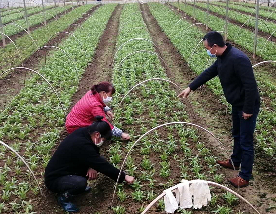鄭世明：打好組合拳 戰“疫”戰“貧”雙推進(jìn)-云南能投軍創(chuàng  )產(chǎn)業(yè)投資有限公司