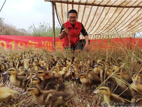 01.jpg 廣西樹(shù)起決戰決勝脫貧攻堅“軍”字招牌-云南能投軍創(chuàng )產(chǎn)業(yè)投資有限公司