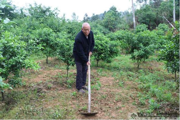 03.jpg 廣西樹(shù)起決戰決勝脫貧攻堅“軍”字招牌-云南能投軍創(chuàng )產(chǎn)業(yè)投資有限公司