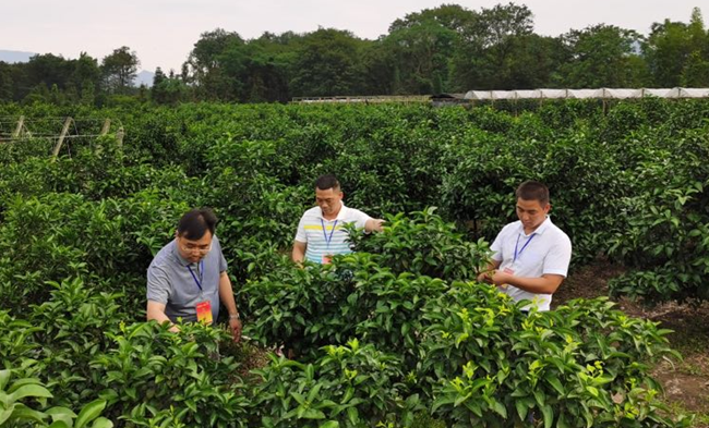 廣西興安：三個(gè)軍人攻克一個(gè)貧困“堡壘”-云南能投軍創(chuàng  )產(chǎn)業(yè)投資有限公司