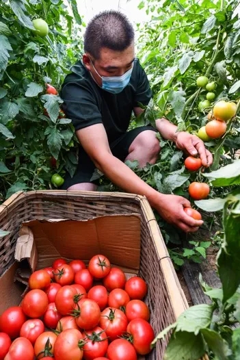 這個(gè)56人的退役軍人“保障隊”，暖心！