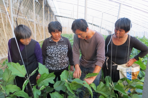 泗縣：退伍軍人勇當創(chuàng  )業(yè)致富“領(lǐng)頭雁”-云南能投軍創(chuàng  )產(chǎn)業(yè)投資有限公司
