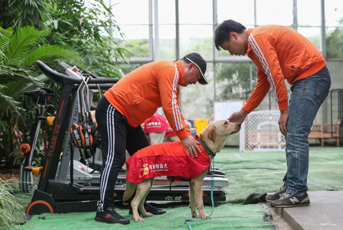 002.jpg “犬司令”的助殘夢(mèng)——退役軍人孫龍根的創(chuàng )業(yè)故事-云南能投軍創(chuàng )產(chǎn)業(yè)投資有限公司