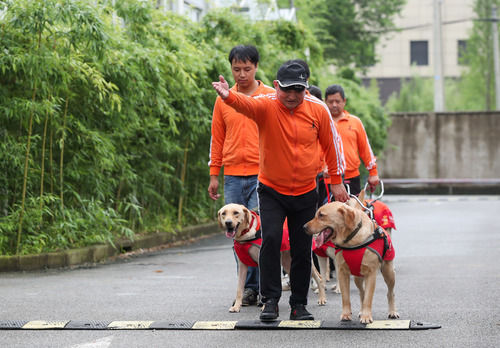003.jpg “犬司令”的助殘夢(mèng)——退役軍人孫龍根的創(chuàng )業(yè)故事-云南能投軍創(chuàng )產(chǎn)業(yè)投資有限公司