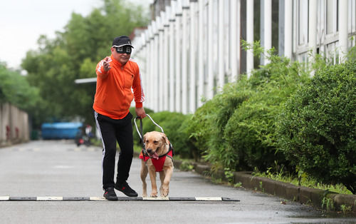 004.jpg “犬司令”的助殘夢(mèng)——退役軍人孫龍根的創(chuàng )業(yè)故事-云南能投軍創(chuàng )產(chǎn)業(yè)投資有限公司