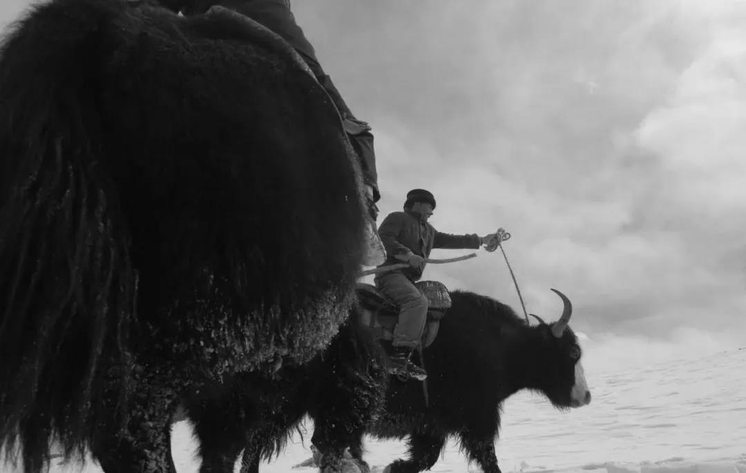 冰窟救人犧牲！送別全國愛(ài)國擁軍模范拉齊尼·巴依卡！-云南能投軍創(chuàng  )產(chǎn)業(yè)投資有限公司