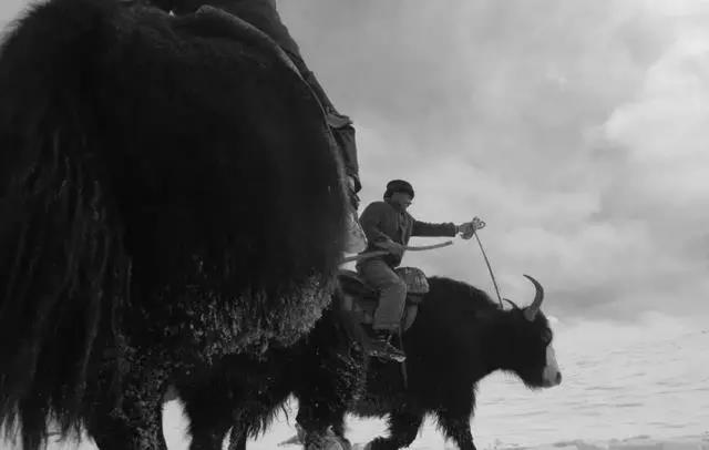 痛別“帕米爾雄鷹”！-云南能投軍創(chuàng  )產(chǎn)業(yè)投資有限公司