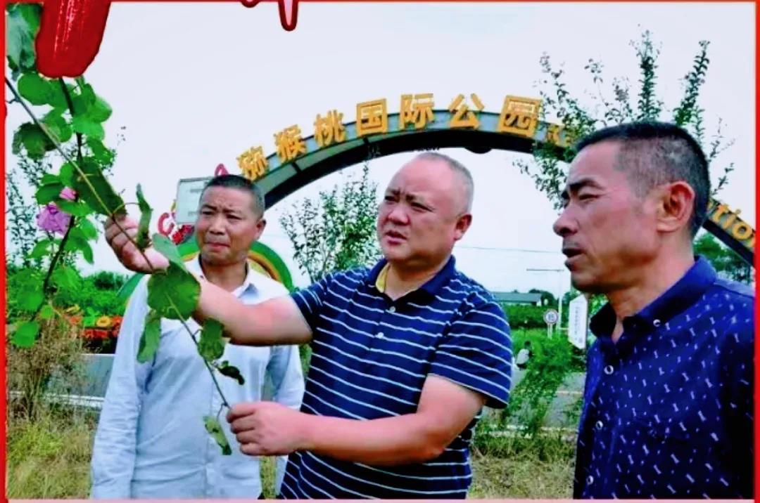 徐大全：川西壩子的“兵支書(shū)”，美麗鄉村建設領(lǐng)頭人-云南能投軍創(chuàng  )產(chǎn)業(yè)投資有限公司