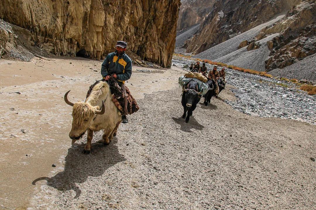紀念我的戰友，拉齊尼·巴依卡-云南能投軍創(chuàng  )產(chǎn)業(yè)投資有限公司