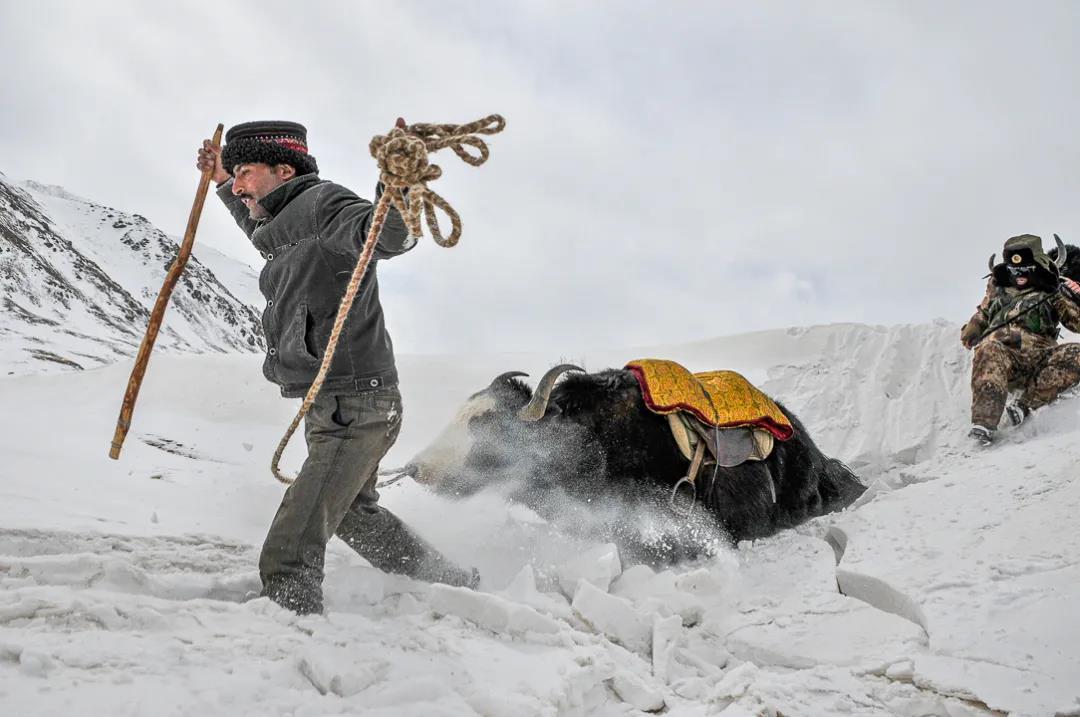 紀念我的戰友，拉齊尼·巴依卡-云南能投軍創(chuàng  )產(chǎn)業(yè)投資有限公司