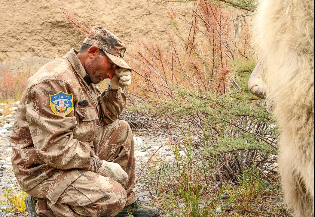 紀念我的戰友，拉齊尼·巴依卡-云南能投軍創(chuàng  )產(chǎn)業(yè)投資有限公司