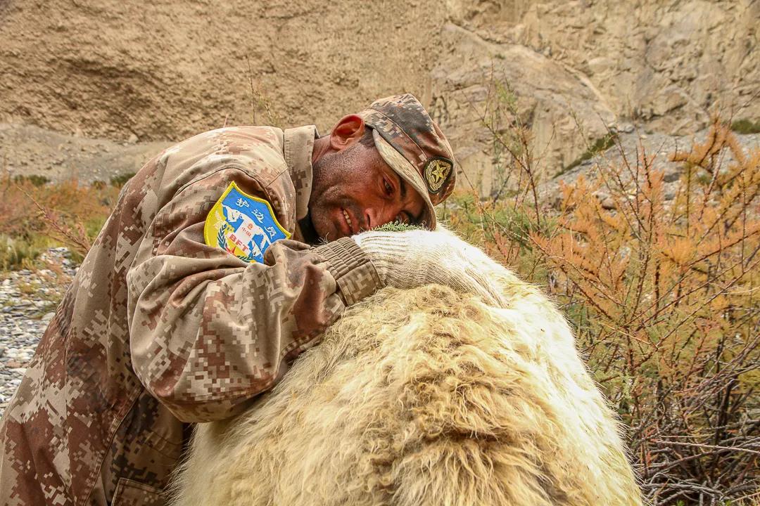 紀念我的戰友，拉齊尼·巴依卡-云南能投軍創(chuàng  )產(chǎn)業(yè)投資有限公司