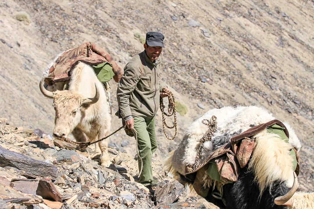 紀念我的戰友，拉齊尼·巴依卡-云南能投軍創(chuàng  )產(chǎn)業(yè)投資有限公司