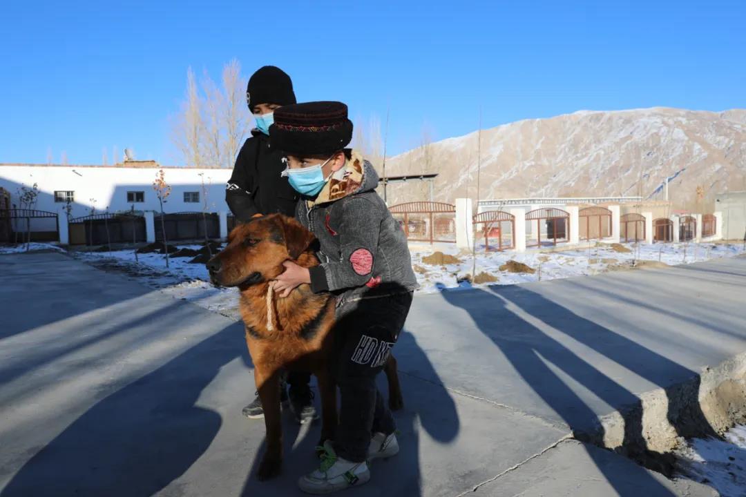 紀念我的戰友，拉齊尼·巴依卡-云南能投軍創(chuàng  )產(chǎn)業(yè)投資有限公司