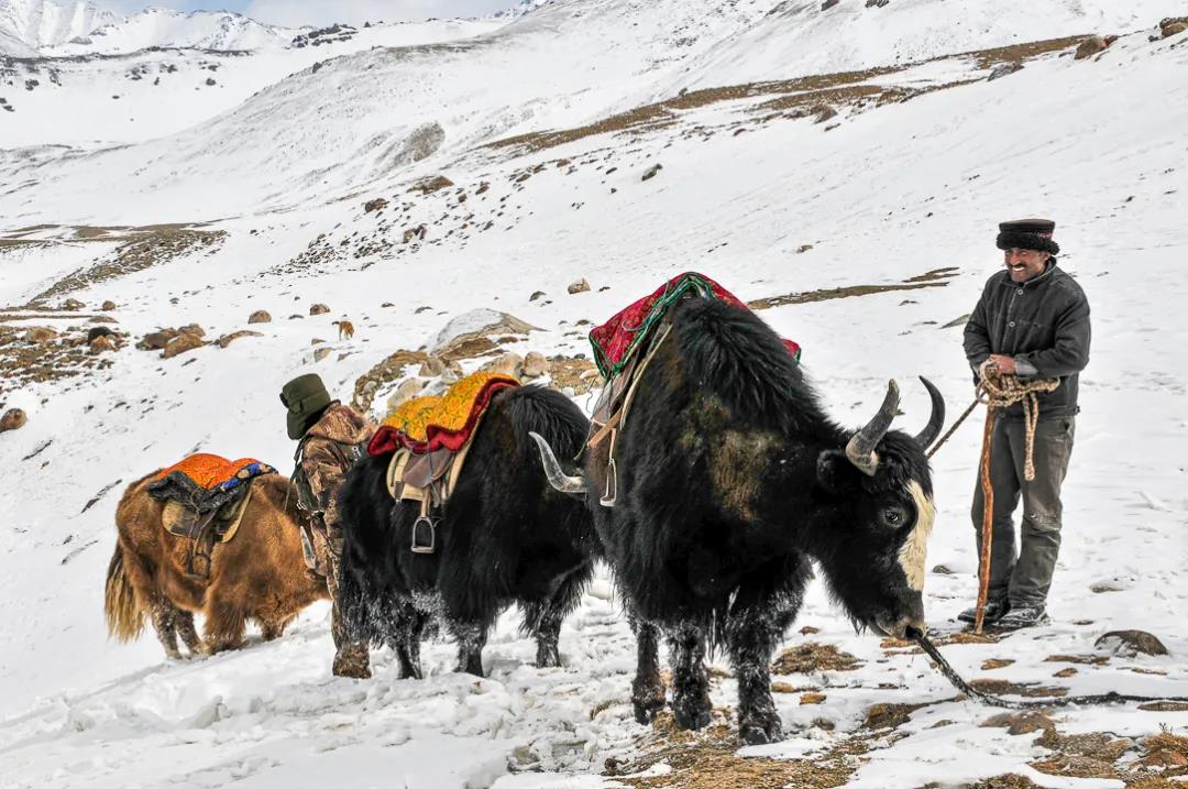 紀念我的戰友，拉齊尼·巴依卡-云南能投軍創(chuàng  )產(chǎn)業(yè)投資有限公司