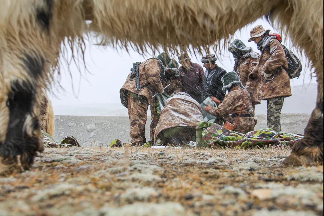 紀念我的戰友，拉齊尼·巴依卡-云南能投軍創(chuàng  )產(chǎn)業(yè)投資有限公司