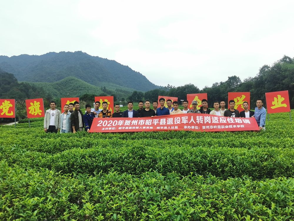 廣西多措并舉為退役軍人上好進(jìn)入社會(huì )“第一課”