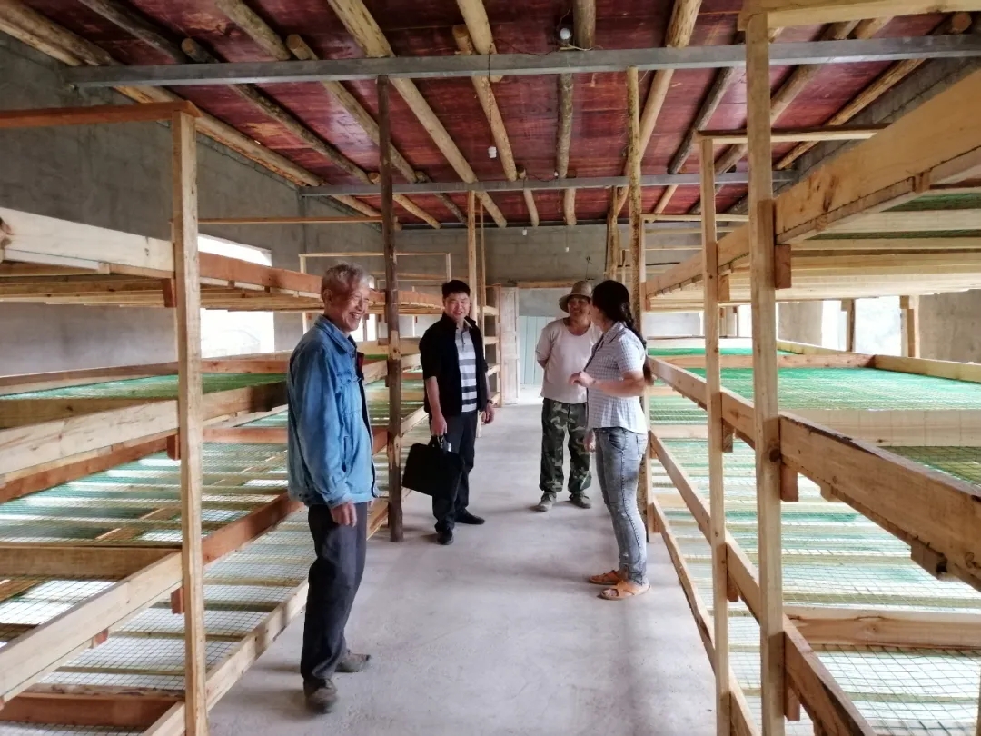 陳鵬：三峽之巔，書(shū)寫(xiě)忠誠-云南能投軍創(chuàng  )產(chǎn)業(yè)投資有限公司