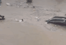 退役不褪色，暴雨中，這些退役軍人真給力-云南能投軍創(chuàng  )產(chǎn)業(yè)投資有限公司