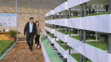 1274.gif 六中全會(huì )精神在基層|“魚(yú)菜共生” 一位退役老兵的共同富裕夢(mèng)-云南能投軍創(chuàng )產(chǎn)業(yè)投資有限公司