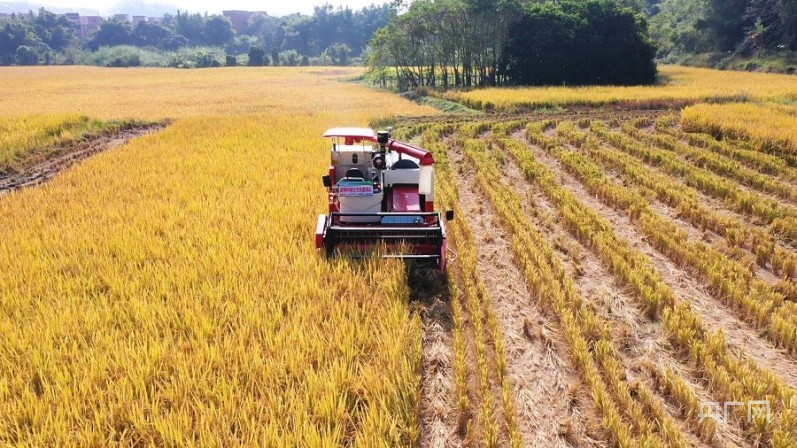 1220媒體報道3.jpg 遠山的回響|退伍軍人“玩轉”無(wú)人農場(chǎng) 引得年輕人紛紛回流-云南能投軍創(chuàng )產(chǎn)業(yè)投資有限公司