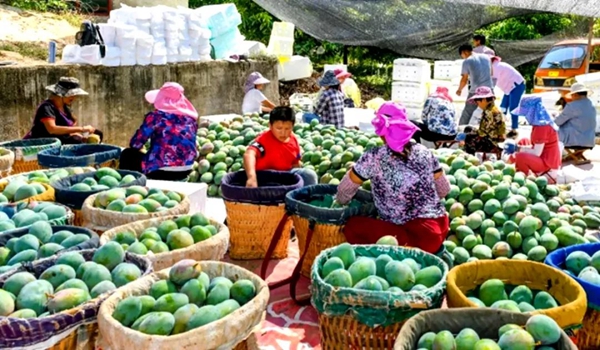 中國退役軍人·在希望的田野上丨普國兵：金沙江畔“兵支書(shū)”，用青春點(diǎn)亮彝嶺山鄉-云南能投軍創(chuàng  )產(chǎn)業(yè)投資有限公司