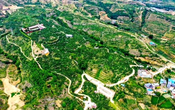 中國退役軍人·在希望的田野上丨普國兵：金沙江畔“兵支書(shū)”，用青春點(diǎn)亮彝嶺山鄉-云南能投軍創(chuàng  )產(chǎn)業(yè)投資有限公司