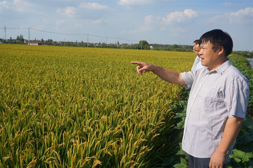 “兵支書(shū)”扎根鄉村30年，當好脫貧致富帶頭人