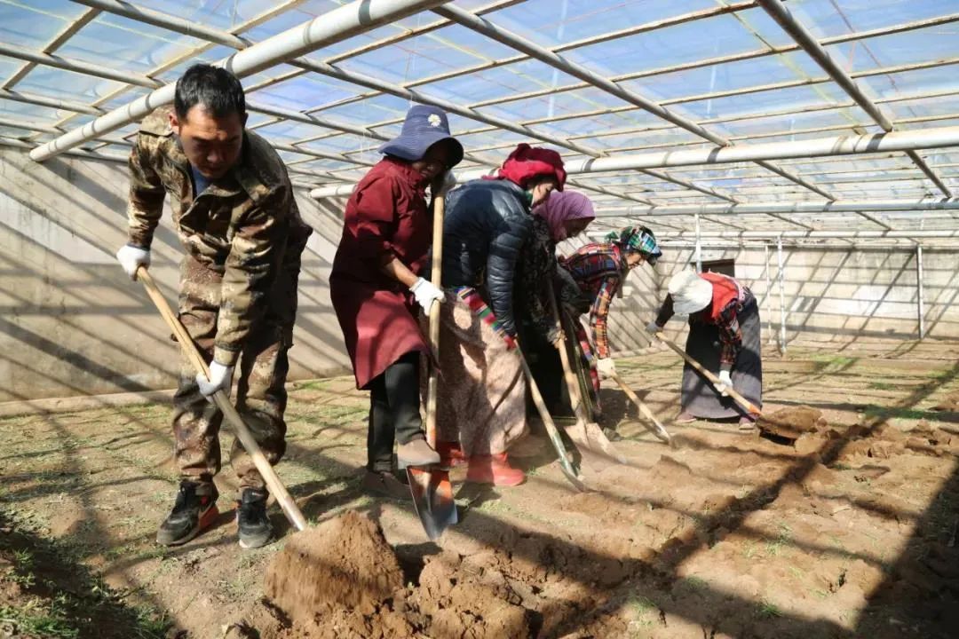 從軍人到公務(wù)員，當“康師傅”開(kāi)始種菜……-云南能投軍創(chuàng  )產(chǎn)業(yè)投資有限公司