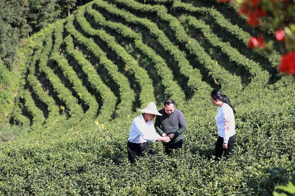 LOCAL202204121631000078238284075.JPG 貴州劍河:上陣“父子兵” 逐夢(mèng)前行不停歇-云南能投軍創(chuàng )產(chǎn)業(yè)投資有限公司