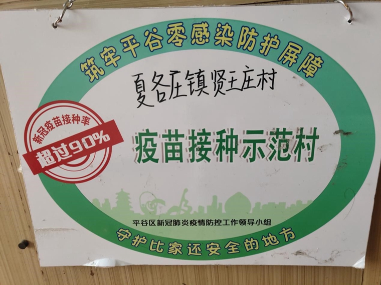 傳統小村落如何升級？這位兵支書(shū)的方法獨“薯”一幟！