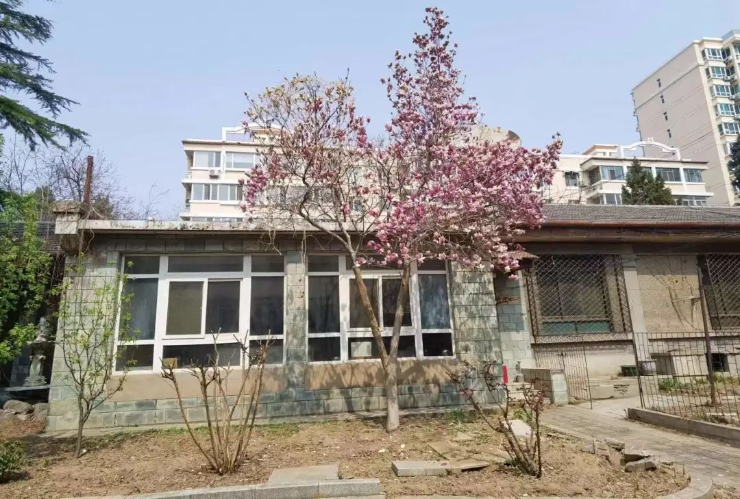 我們的好鄰居王樹(shù)聲大將-云南能投軍創(chuàng  )產(chǎn)業(yè)投資有限公司