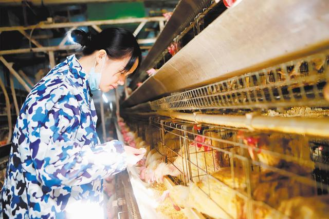 了不起！這群退役女兵在平凡崗位上做出了不平凡的業(yè)績(jì)-云南能投軍創(chuàng  )產(chǎn)業(yè)投資有限公司