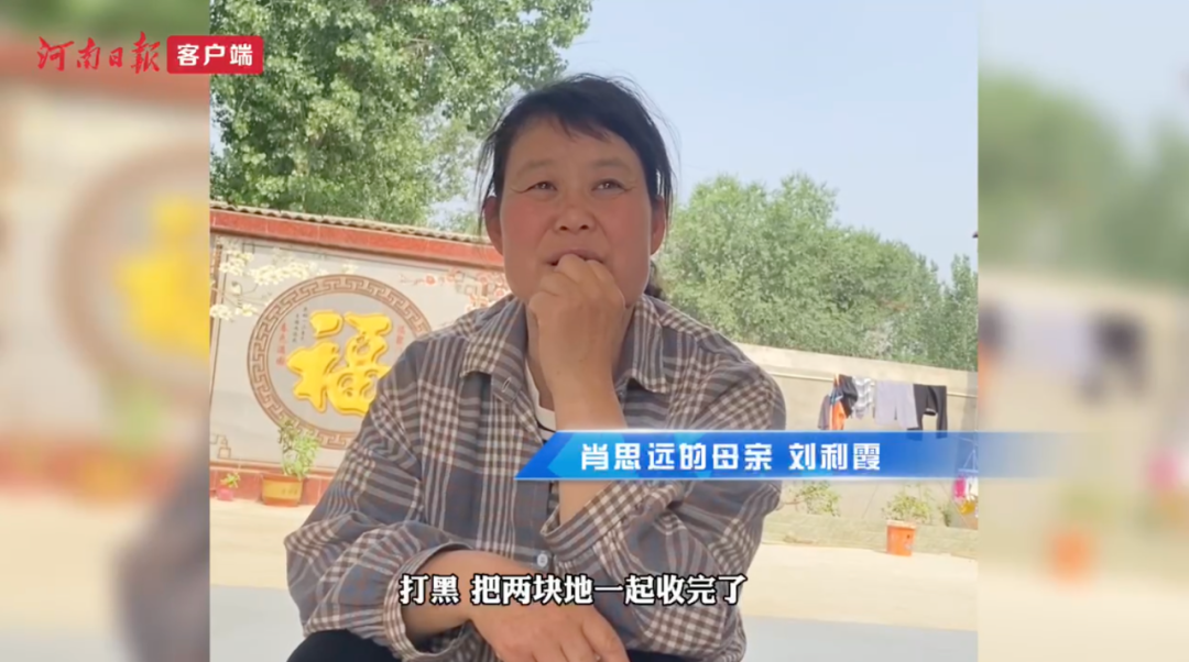 肖思遠父母為啥偷偷收麥子？真相是……-云南能投軍創(chuàng  )產(chǎn)業(yè)投資有限公司