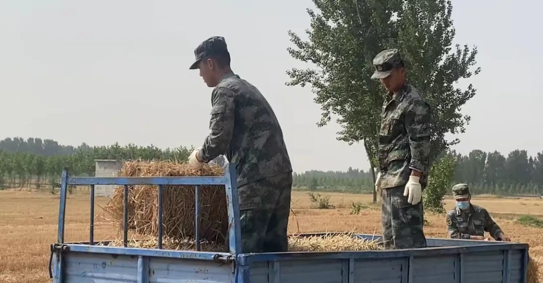 肖思遠父母為啥偷偷收麥子？真相是……-云南能投軍創(chuàng  )產(chǎn)業(yè)投資有限公司