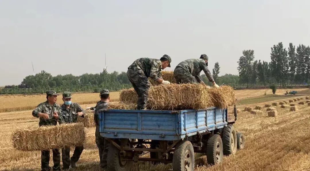 肖思遠父母為啥偷偷收麥子？真相是……-云南能投軍創(chuàng  )產(chǎn)業(yè)投資有限公司
