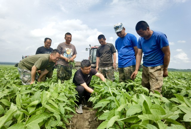 老兵再立新功：在希望的田野上耕耘豐收-云南能投軍創(chuàng  )產(chǎn)業(yè)投資有限公司