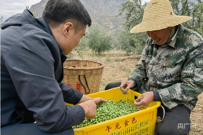 散是滿(mǎn)天星！甘肅退役軍人創(chuàng  )業(yè)當“先鋒”