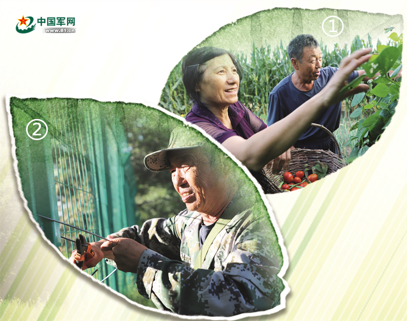 30多年一個(gè)人、一匹馬、一把長(cháng)鐮刀不變的堅守-云南能投軍創(chuàng  )產(chǎn)業(yè)投資有限公司