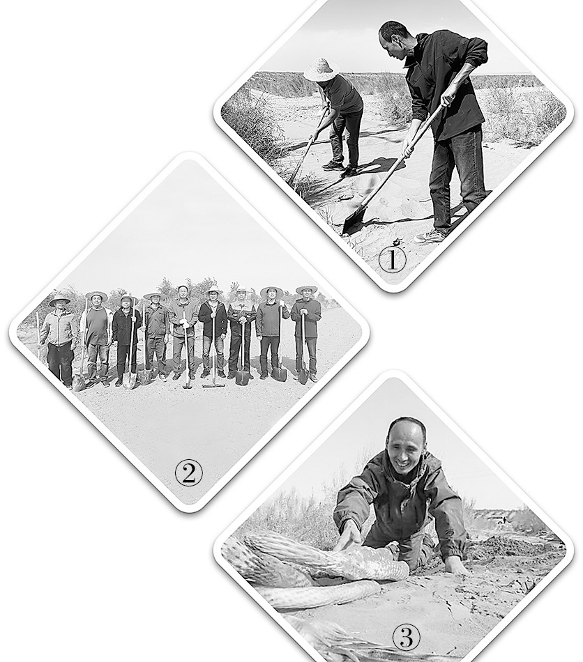 誓將荒漠變綠洲——沙海里，有群“播綠”的老兵-云南能投軍創(chuàng  )產(chǎn)業(yè)投資有限公司