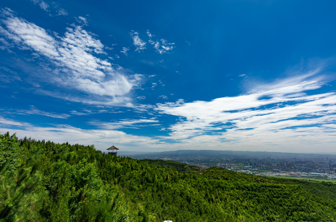 解放軍報：一個(gè)人，一座山，一片綠——記老兵張俊平-云南能投軍創(chuàng  )產(chǎn)業(yè)投資有限公司