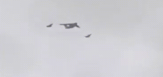 新華社：老師，那是什么？-云南能投軍創(chuàng  )產(chǎn)業(yè)投資有限公司