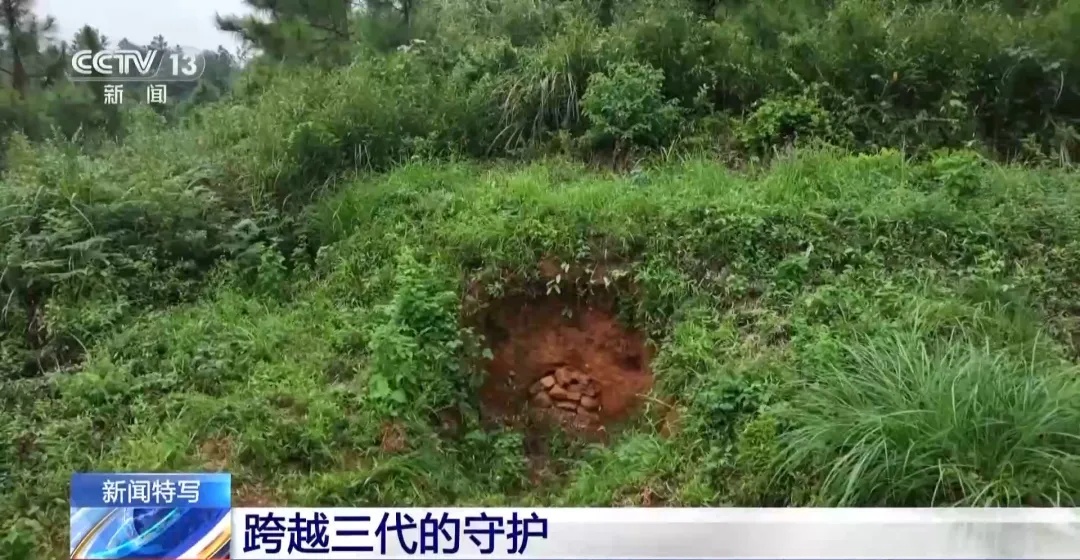 央視：一座無(wú)名墓 這一家三代人卻守護了近百年-云南能投軍創(chuàng  )產(chǎn)業(yè)投資有限公司