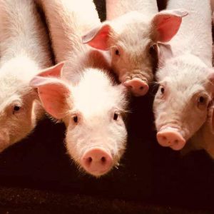 昭通市-云南能投軍創(chuàng  )產(chǎn)業(yè)投資有限公司