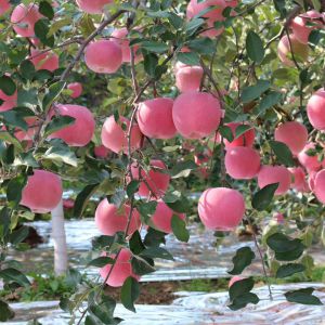 昭通市-云南能投軍創(chuàng  )產(chǎn)業(yè)投資有限公司