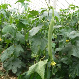 昭通市-云南能投軍創(chuàng  )產(chǎn)業(yè)投資有限公司